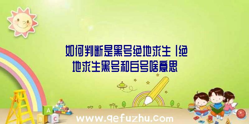 「如何判断是黑号绝地求生」|绝地求生黑号和白号啥意思